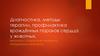 Диагностика, методы терапии, профилактика врождённых пороков сердца у животных