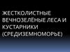 Жестколистные вечнозелёные леса и кустарники (Средиземноморье)