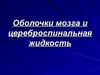 Оболочки мозга и цереброспинальная жидкость