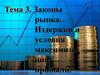 Законы рынка. Издержки и условия максимизации прибыли