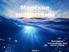 Морские экосистемы