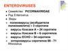 Энтеро- и ротавирусы