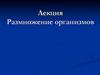 Размножение организмов