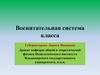 Воспитательная система класса