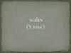 Уэльс (Wales)