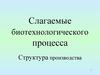 Слагаемые биотехнологического процесса. Структура производства