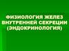Физиология желез внутренней секреции (эндокринология)