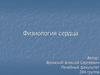 Физиология сердца
