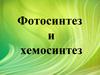 Фотосинтез и хемосинтез