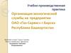 Организация экологической службы на предприятии ОАО «Газ-Сервис» г. Бирска Республики Башкортостан