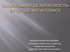 Социальная безопасность в городе-мегаполисе