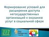 Формирование условий для расширения доступа негосударственных организаций к оказанию услуг в социальной сфере