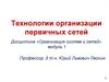 Структуры компьютерных сетей и первичные сети