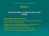 Ochrona własności intelektualnej. Ochrona OWI w systemie prawa UE i Polski