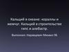Кальций в океане: кораллы и жемчуг. Кальций в строительстве: гипс и алебастр