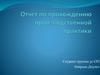 Отчет по прохождению производственной практики