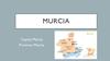 Provincia: Murcia