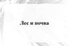Лес и почва