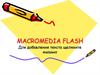 Macromedia Flash