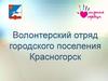 Волонтерский отряд городского поселения Красногорск