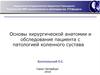 Основы хирургической анатомии и обследование пациента с патологией коленного сустава