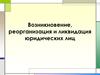 Возникновение, реорганизация и ликвидация юридических лиц