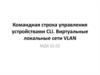 Командная строка управления устройствами CLI