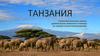 Танзания. Страна бесконечных саванн, удивительных животных и никогда не тающих снегов Килиманджаро