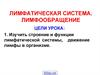 Лимфатическая система. Лимфообращение