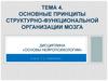 Основные принципы структурно-функциональной организации мозга. (Тема 4)