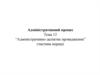 Адміністративно-деліктне провадження (частина перша)