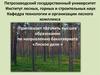 Петрозаводский университет. Институт лесных, горных и строительных наук. Кафедра технологии и организации лесного комплекса