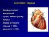Анатомия сердца