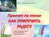 Проект по теме: Как приручить радугу