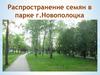 Распространение семян в парке г. Новополоцка