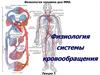 Физиология системы кровообращения