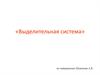 Выделительная система