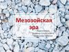 Мезозойская эра
