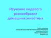 Изучение видового разнообразия домашних животных