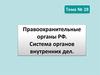 Правоохранительные органы РФ. Система органов внутренних дел