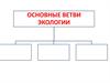 Основные ветви экологии