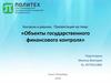 Объекты государственного финансового контроля