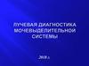 Лучевая диагностика мочевыделительной системы