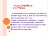Эндокринная система