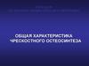 Общая характеристика чрескостного остеосинтеза
