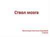 Ствол мозга