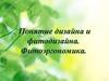 Понятие дизайна и фитодизайна. Фитоэргономика