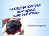 Исследуем полезные ископаемые: каменный уголь