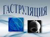 Гаструляция. способы гаструляции
