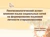 Лингвоэкологический аспект влияния языка социальных сетей на формирование языковой личности старшеклассника